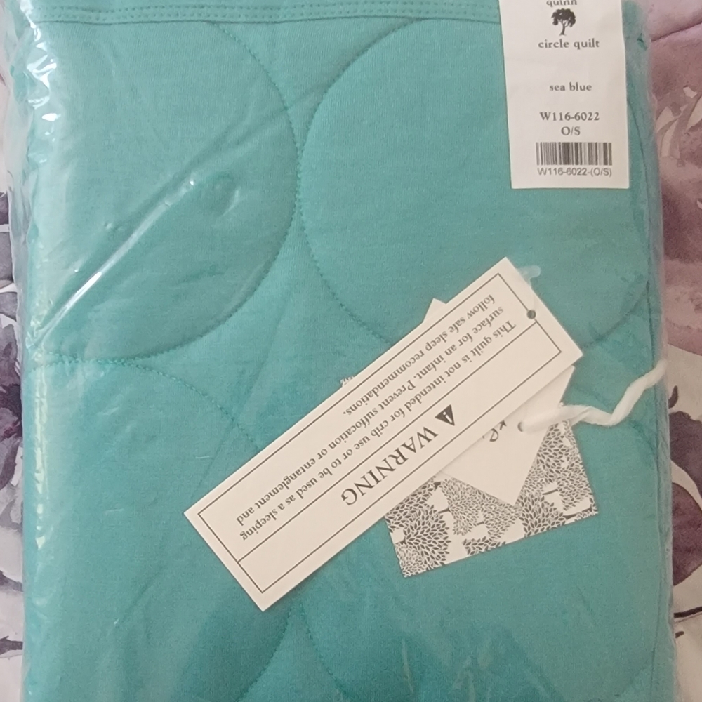 Kate Quinn Sea Blue Circle Quilt
